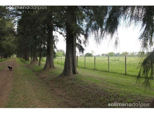 Excelente Campo De 35 Hectáreas En Mercedes