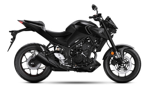 Imagen 9 de 17 de Moto Yamaha Mt03 Abs Naked 0km 2024 Nuevo Modelo! Patronelli