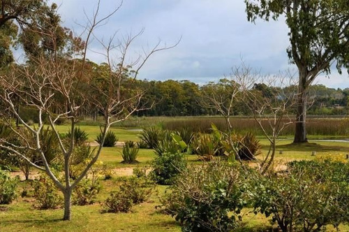 Imagen 3 de 16 de Terreno En Venta En Laguna Blanca
