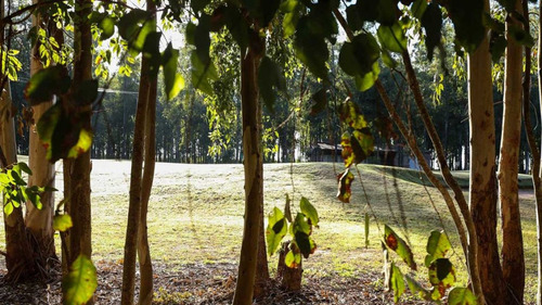 Venta Lote Terreno Campo Timbó Club De Campo Golf