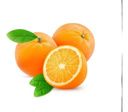 Naranjo Fukumoto Injertado Frutal Naranja