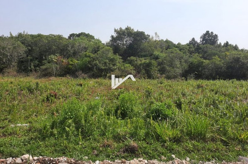 Imagem 1 de 8 de Lote Em Itanhaém! Aceita R$4.500 + Parcelas - Ter140 R