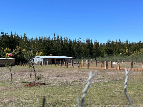 Oportunidad Parcela 5.000 Mts (93879)
