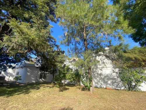 Imagen 3 de 4 de Terreno Venta General Pueyrredon
