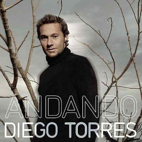 Cd Diego Torres Andando 2006