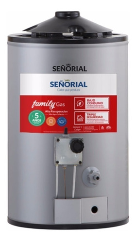 Termotanque Señorial Family 30 Lts Alta Recuperacion Premium