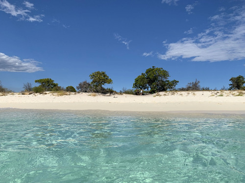 10,000.000 De Mts De Terrenos De Playa En Samaná Con Títulos