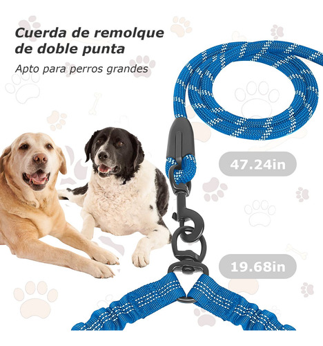 Correa Doble Para Perros, Correa Para Caminar Sin Enredos