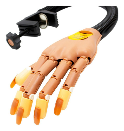 Mano De Práctica Articulada P. Prácticas Manicure + 100 Tips