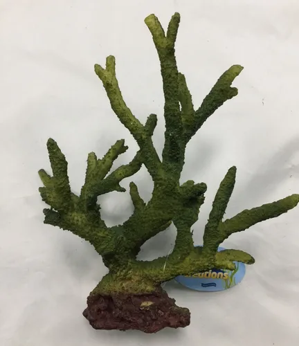 Aquatic creations top aquarium decorations