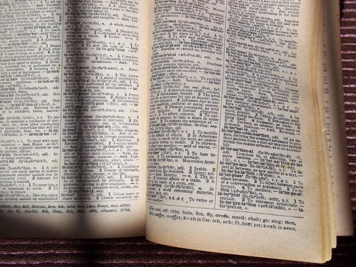 The Merriam-webster Pocket  Dictionary                      