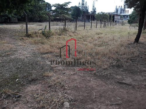 Imagem 15 de 30 de Terreno Á Venda E Para Aluguel Em Cascata - Te000930