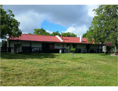 Imagen 14 de 21 de Campo En Uruguay, Aiguá, Ruta 13