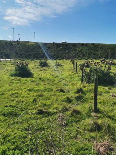 Parcela En Venta En Concón 1200m2 60millones