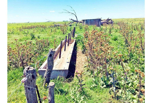 Imagen 7 de 15 de Campo En Quemu Quemu La Pampa