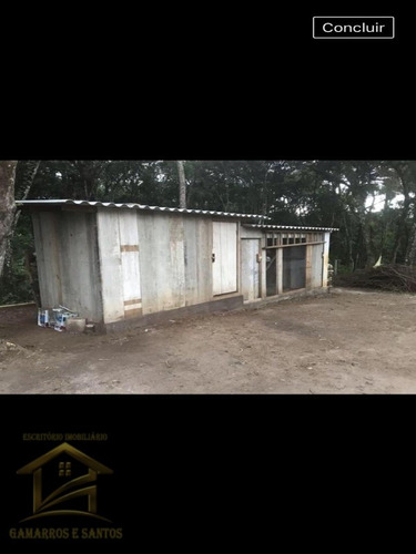 Imagem 8 de 13 de Chácara Com 5.000 M² No Timbu Velho Em Campina Grande Do Sul - Ch00026 - 33581150
