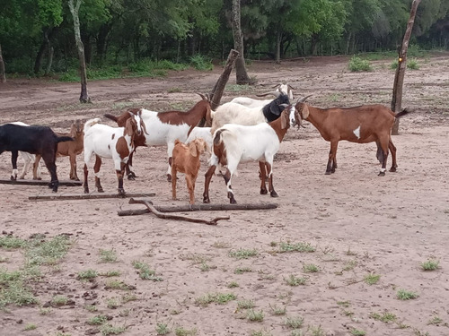 Campo Sobre Ruta