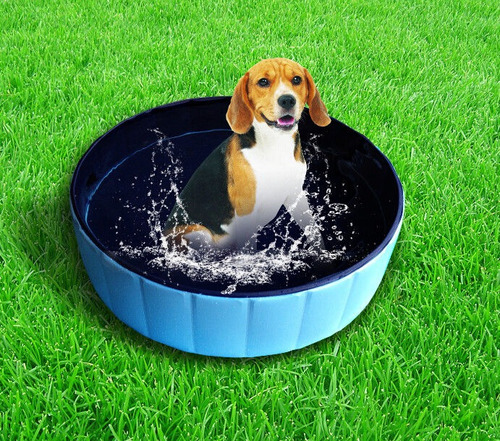 Piscina De Petpai Perro Perro Piscina Piscina Regalos De Est