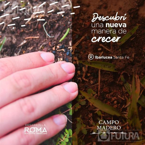 Imagen 5 de 6 de Terreno - Ibarlucea
