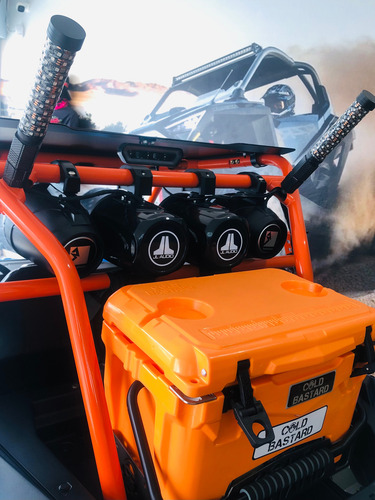 Rzr Efi Tld 200. 2023