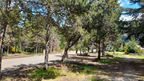 Loteo El Bagual Camino Al Lago