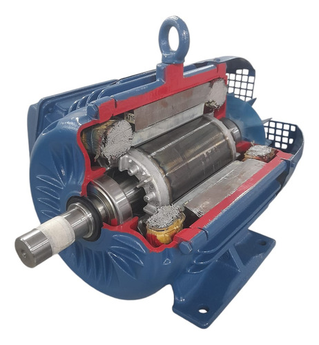 Motor Weg 10 Cv 2 Pólos Original W22 Elétrico Trifásico 380v