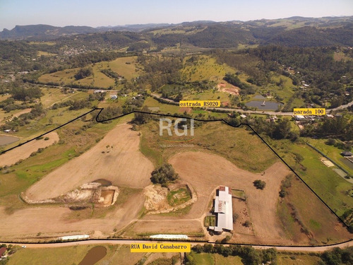 Terreno Em Dom Feliciano - El56353207