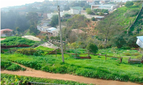 Región Valparaiso (73811)