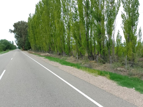 Imagen 28 de 28 de Vendo/permuto Finca Apto Todo Destino (viña, Cultivos Grales Y Ademas Cannabis Medicinal) O Loteo Club De Campo -alto Del Algarrobal-san Rafael -mendoza Sobre Rn 146 Km 376.1