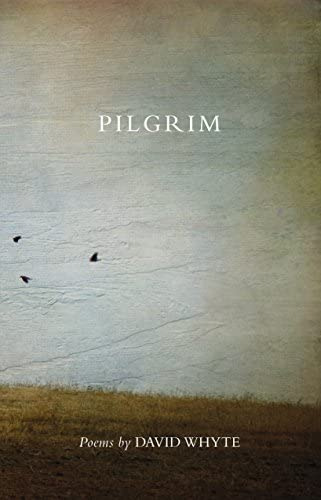 Pilgrim, De David Whyte. Editorial Many Rivers Pr, Tapa Blanda En Inglés