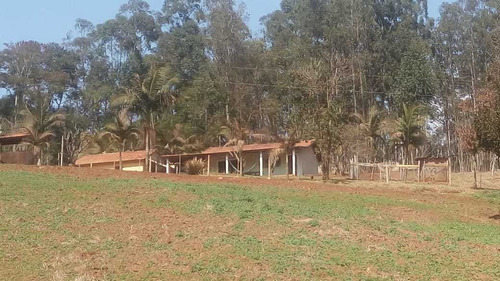 Imagem 12 de 14 de Vendo Ótimo Sítio Interior Sp.