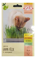 Comprar Semillas De Hierba Gatera \u002F Pasto Para Gatos. 1680 Semillas!