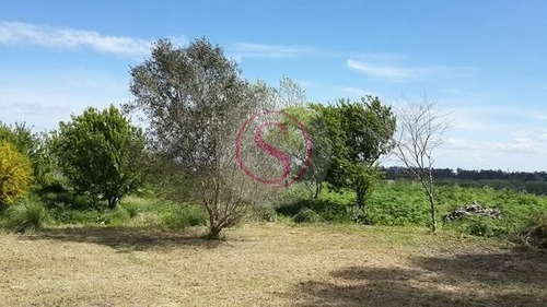 Terreno En Venta En Quequén, Costa Atlántica, Buenos Aires