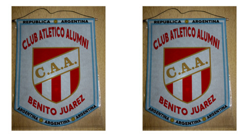 Banderin Grande 40cm Alumni Benito Juarez