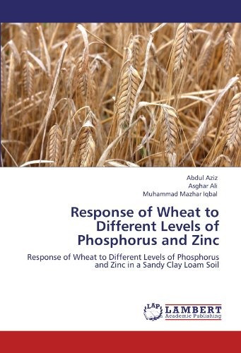 Respuesta Del Trigo A Diferentes Niveles De Fosforo Y Zinc R