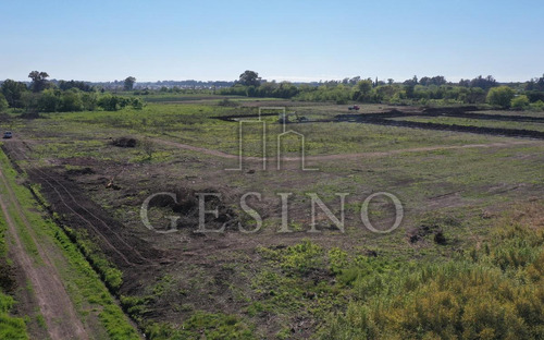 Imagen 3 de 4 de Terreno - Los Hornos