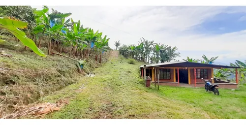 Venta Finca - Vereda Coco Hondo - Balboa