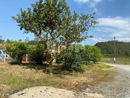Imagem 21 de 25 de Casa À Venda No Bairro Pomerânia - Guabiruba/sc - 2043