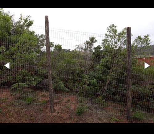 Imagem 5 de 7 de Terreno Praia Do Rosa