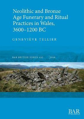 Libro Neolithic And Bronze Age Funerary And Ritual Practi...