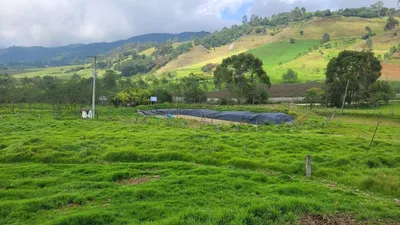 Finca en venta