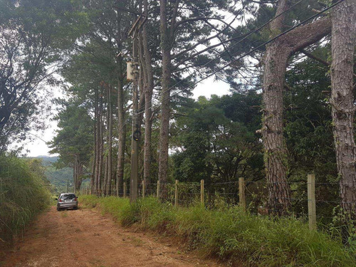 Imagem 5 de 14 de Terreno, Centro, Pirapora Do Bom Jesus - R$ 1.200.000,00, 430m² - Codigo: 234967 - V234967