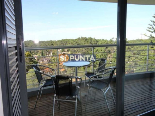 Imagen 4 de 10 de Apartamento En Alquiler Anual Y Venta