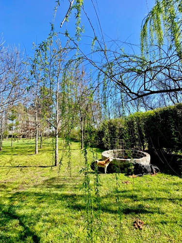Imagen 25 de 30 de Hermosa Casa 5 Amb Con Parque Y Quincho