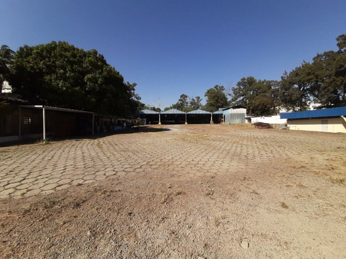 Imagem 11 de 14 de Galpão Para Alugar, 5263 M² Por R$ 100.000/mês - Parque Novo Mundo - São Paulo/sp - Ga0292