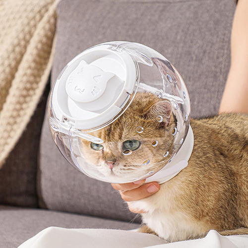 Para Gato, Casco Para Gato, Transpirable, Antimordidas,