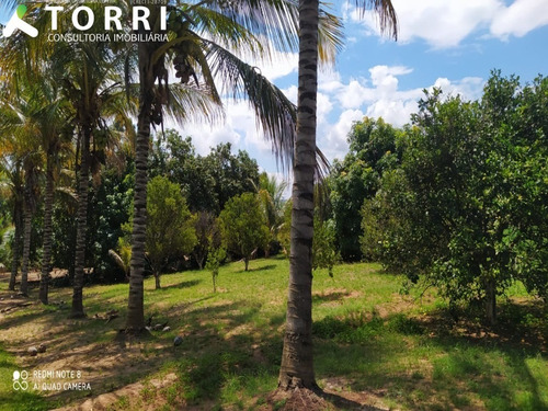 Imagem 13 de 27 de Chácara À Venda Em Barão De Antonina/sp Bairro Parte Norte - Ch00396 - 69572610