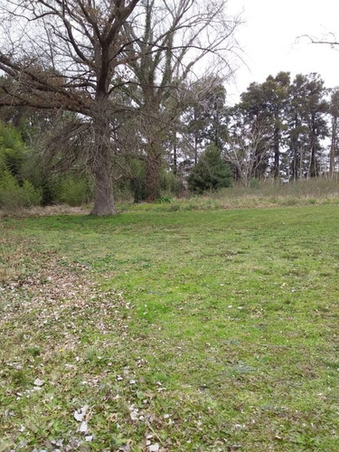 Imagen 8 de 11 de Terreno En Venta En Marcos Paz