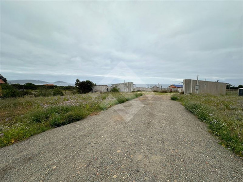 Sitio Con 2 Cabañas Alajadas, En Venta En Guanaqueros
