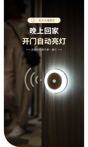 Luz Con Sensor De Luz, Carga Usb, Sensor De Cuerpo Humano